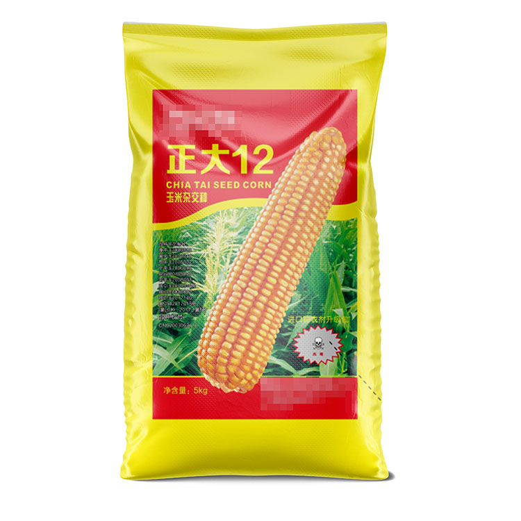 玉米種子正大正麵.jpg